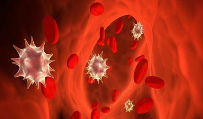 Прибор, очищающий кровь от патогенов, изменит лицо медицины