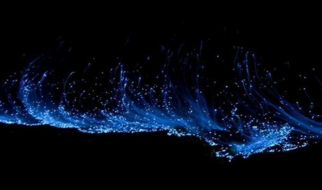На поверхности МКС обнаружены следы морского планктона