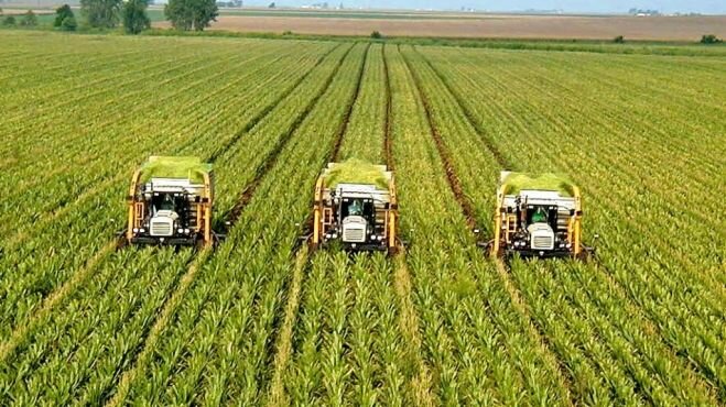 Фермеры Болгарии потеряли $168 млн из-за российского эмбарго