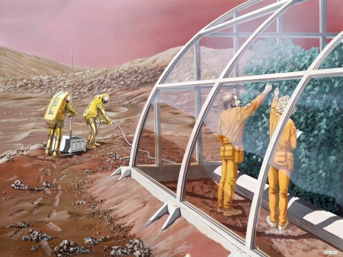 НАСА попытается вырастить картофель в марсианских условиях