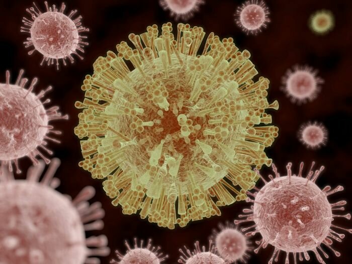 Вирус Зика распространен уже в 40 странах